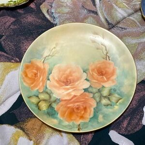 Hand painted porcelain plate